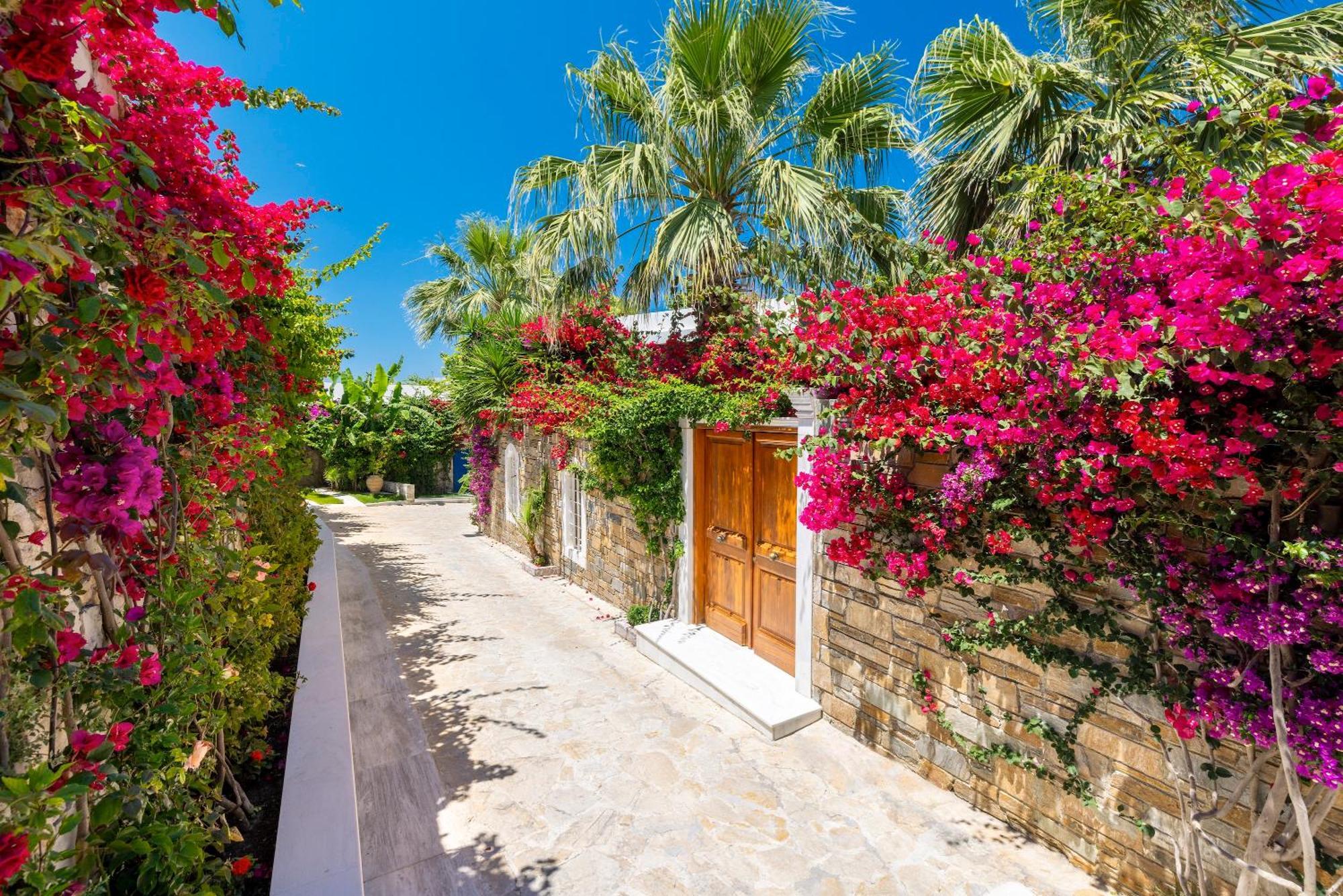 Porto Zante Villas And Spa Tragaki Exterior foto